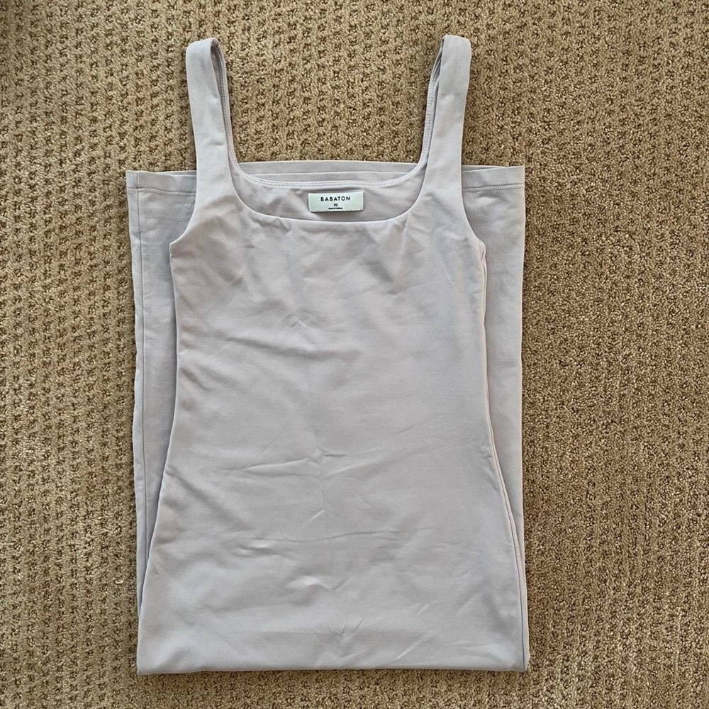 Babaton by Aritzia Contour Dress